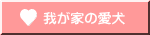 我が家の愛犬