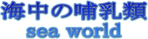 タイトル文字