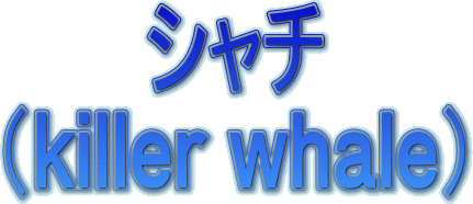 タイトル文字